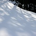 Schatten und Schnee
