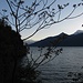dal Sasso Arancio
