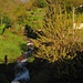passato il fiume..