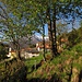 Breglia