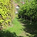 La Ghidolda