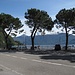 a lago...