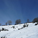 Alpe Corte