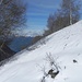 Spicchio del lago Maggiore
