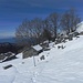  Alpe Corte