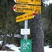 <b>Alpe Fracch: il punto di partenza della racchettata odierna. <br />Il segnavia indica una quota di circa 10 m inferiore a quella reale.</b>
