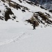 <b>A Confin Basso incontro di nuovo lo sciescursionista, ora con lo snowboard, di ritorno dal Piz de Mucia. Anche lui asserisce di essere pienamente soddisfatto della gita odierna sulle nevi di San Bernardino.</b>