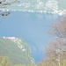  Pino sulla sponda del lago Maggiore