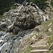 Wanderpfad mit Wasserfall