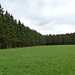 symmetrischer Wald bei Knauf