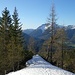 Im Aufstieg zum Marchgatterl (1905m), Blick von einer Geländekuppe auf ca. 1600m Richtung Norden zum Guffert (2195m).