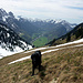 Shadow oberhalb der Oberen Hirschbergalpe