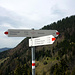 Bei der Giblen-Alpe kann man wählen: links bequeme Almstrasse (aber weit); rechts steile Almwege (=Anstiegsweg).