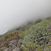 Nebelschwaden sind ständige Begleiter im Anaga-Gebirge.