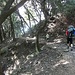 Schon fast wie im Tessin