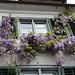 Fensterschmuck