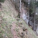 Im Abstieg Richtung Ober Urmi ( 1155m )