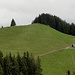der Vermessungspunkt des Günhorns liegt zuhinterst in der bewaldeten Kuppe, der höchste Punkt auf der Wiesenkuppe davor