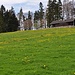 Waldweid-Hütte. SAC-Baselland