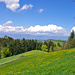 Erster Blick zum Jura
