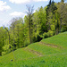 Bleiland - nicht Bioland