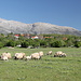 Bei Cetina (01.05.2012) - Ausblick aus etwa südlicher Richtung zum Dinara.