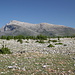 Westlich von Cetina (01.05.2012) - Ausblick über eine der für diese Gegend typischen Karstflächen zum Dinara aus etwa südlicher Richtung.