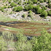 Im Krčić-Tal (01.05.2012) - Blick auf das Quellgebiet des Krčić (2/3). An mehreren Stellen quillt Wasser aus dem Untergrund, wodurch der Fluss schnell anschwillt.