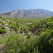 Im Krčić-Tal (01.05.2012) - Blick auf das Quellgebiet des Krčić (1/3), im Hintergrund der Dinara. Der Krčić ist noch ein kleines Rinnsal. Auf kurzer Länge schwillt er aber gleich zu einem "ordentlichen" Flüsschen an.