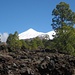 Blick von Südwesten auf den Teide. .
