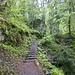 Wanderweg in der Bürser Schlucht