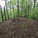"Gipfel" des Achebergs
