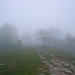 paesaggio novembrino...