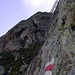 <b>Di scalette di questo tipo ne ho già percorse parecchie, anche molto più lunghe ed esposte, come ad esempio alle Dolomiti. Allora avevo comunque sempre la sicurezza del set da ferrata. </b>