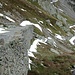 <b>Vecchia strada del Passo del Susten.</b>