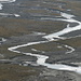 Meandering rivers on the Plaun la Greina<br /><b><i>“Wo sonst fließen die Wasser von den Gletschern zu Tal in den Mäandern der Naturgesetze? In Kanada, Alaska, Grönland, Spitzbergen - und in der Greina.”</i></b> <br />(Quelle: Buch „La Greina“, Das Hochtal zwischen Sumvitg und Blenio, Schweizerische Greina-Stiftung (SGS), Verlag Bündner Monatsblatt / Desertina AG, Chur, 1997)