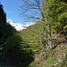 Vom Tobelbach sieht man schon den Alvier