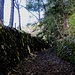 "Hohle Gasse" ...