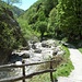 La via ora molto comoda fiancheggia il Torrente Gallavesa.