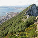 im oberen Teil der Gibraltar-Felsen hat es eine schöne subtropische Vegetation