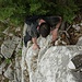 Zwischen Zypressen kletterten wir einfach über den griffigen Kalkfels bergauf. Es war Andrés erstes Kletterelebnis und er meisterte die Kraxelstellen bestens!