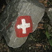 All’inizio del sentiero, con gli stessi colori della segnaletica ufficiale appare la bandiera elvetica