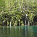 Unterwegs im Nacionalni park Plitvička jezera (Nationalpark Plitvicer Seen) - Am Galovac jezero, 583 m.