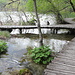 Unterwegs im Nacionalni park Plitvička jezera (Nationalpark Plitvicer Seen) - Viele Wege führen direkt am Wasser entlang oder als Holzbohlensteg sogar über dieses. Anders als im Bild herrscht aber oft dichtes Gedränge.