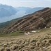 Arriviamo all'altezza dell'Alpe Palu'