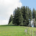bald den höchsten Punkt des Schafberg erreicht