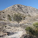 Im Aufstieg zum Guadalupe Peak - Hier noch unweit des Trailheads am Pine Springs Campground. Bald führt der Weg durch die im Hintergrund sichtbaren Hänge der östlichen Ausläufer des Guadalupe Peaks.