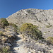 Im Aufstieg zum Guadalupe Peak.