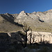 Unterwegs im Pine Springs Canyon/auf dem Rückweg von Devil's Hall - Ausblick zu den Hängen am gegenüberliegendem Canyon-Rand