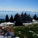 welche Aussicht!
der Mont Blanc hinter dem Wölkchen,
links ein Teil des Neuenburgersees